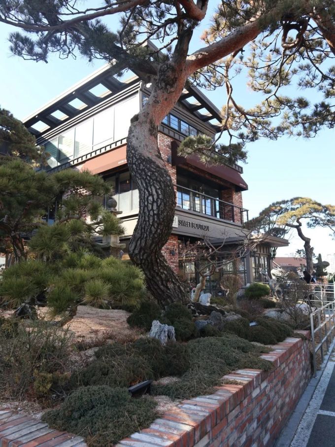 云旅游之探店一城 | 我们去首尔举办了一个产品大选!