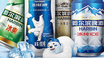 哈尔滨啤酒小麦王550ml*40听 整箱量贩易拉罐促销装