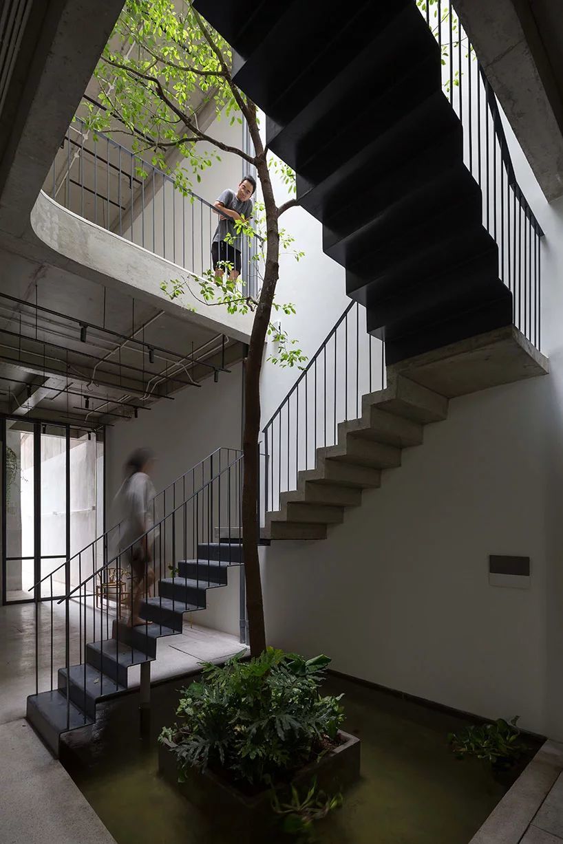 4米宽, 35米长, 5层高的超窄房子, 也能有这么好的采光和绿化