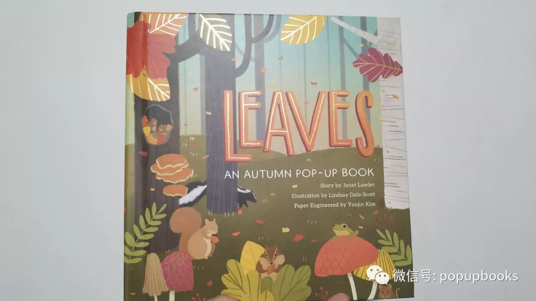 云看立体书 | Leaves An Autumn Pop-up Book
