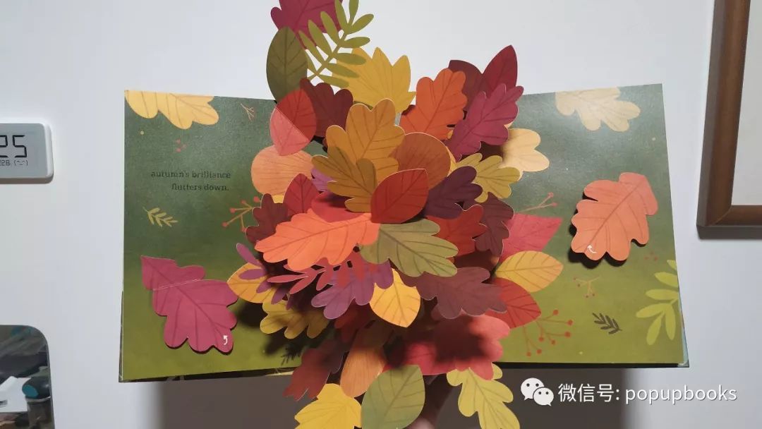 云看立体书 | Leaves An Autumn Pop-up Book