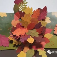 云看立体书 | Leaves An Autumn Pop-up Book