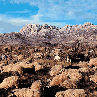 三星galaxy s10 智能手机开箱晒物(卡槽|扬声器|接口|电源键|充电器)