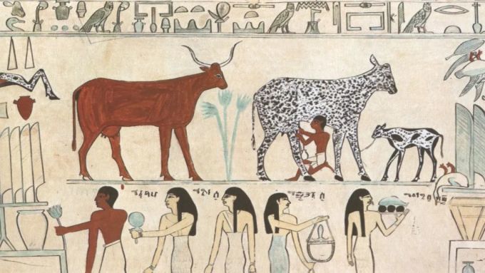 人类与微生物的战争:消毒