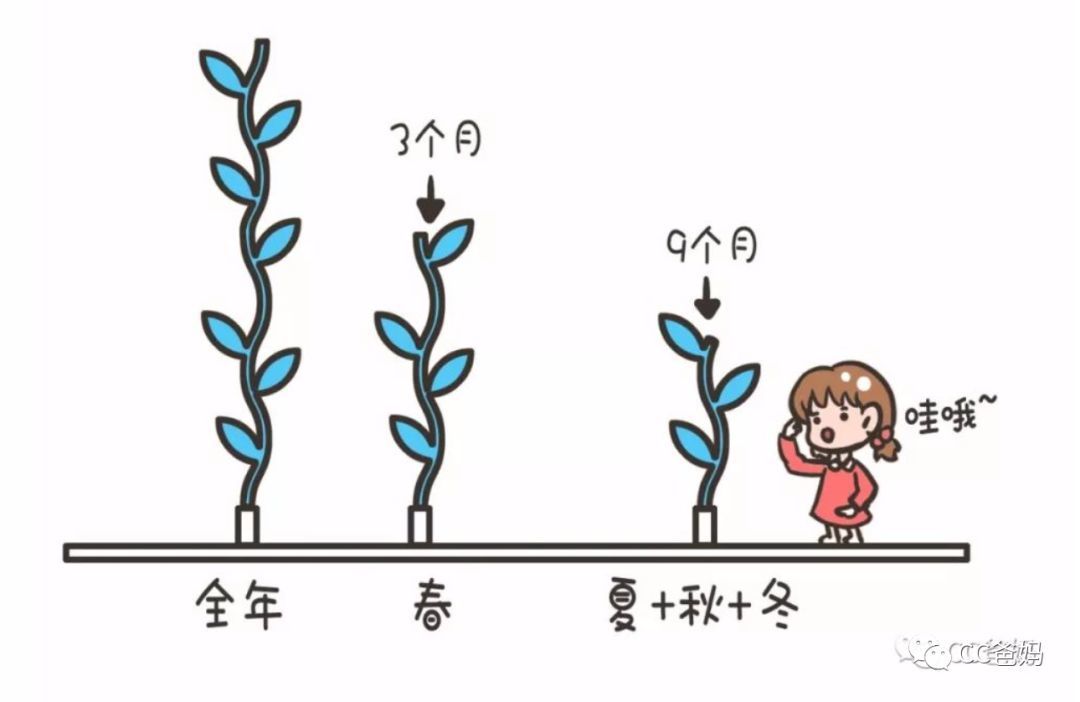 春季比秋季生长速度高2.5倍，抓住一年的长高“黄金季”，快拯救孩子身高！