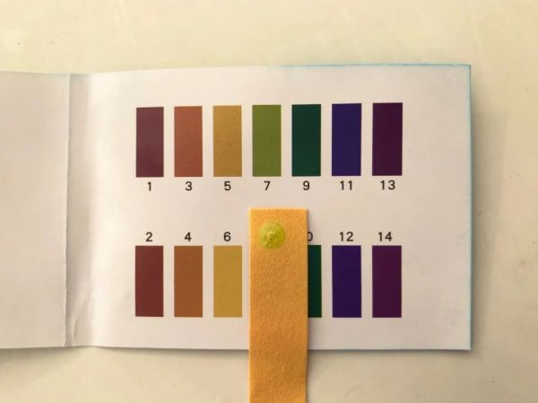 戴口罩长痘?先把脸洗干净!