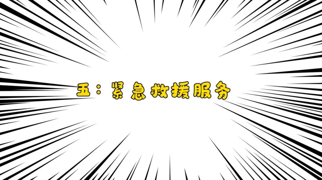 《集合吧！动物森友会》新增了哪些内容？14大新内容盘点！NS奶牛速报