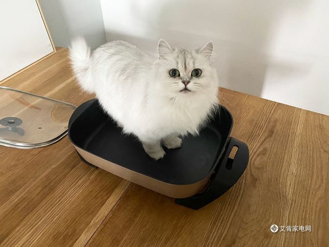 【听TA说】禁足期,网易严选电锅解放味蕾