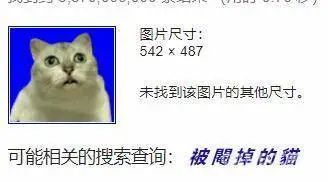 猫朋友英杰传：从“哭哭猫”到“流泪猫猫头”