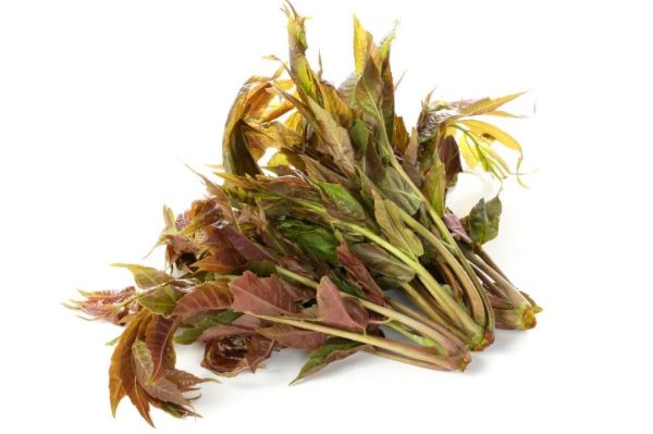 3 月必吃的 7 种蔬菜,补钙还通便,错过又要等一年