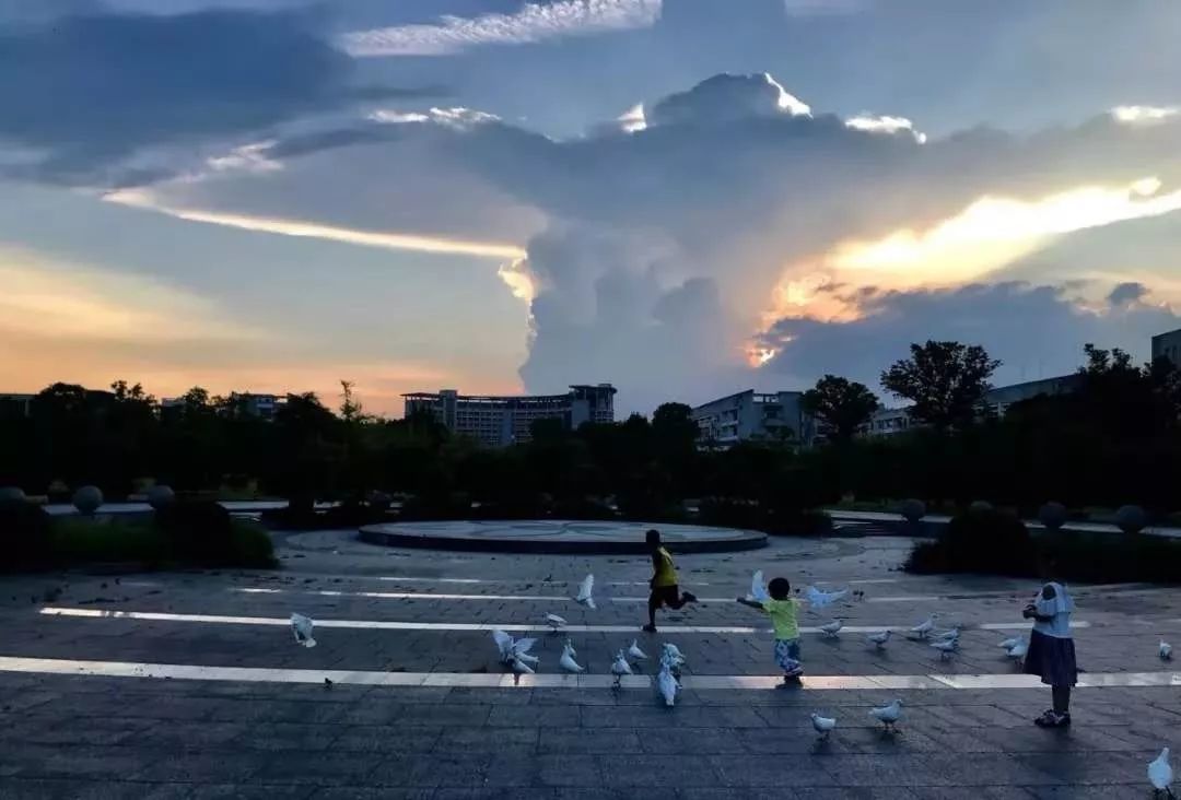 “史上最长寒假还没结束”，好想回杭州上学啊！