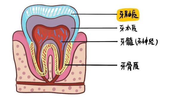 每天 2 次刷牙还有蛀牙?50% 以上人都不知道的蛀牙真相