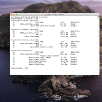 Proxmox 6安装macOS Catalina 10.15速成教程