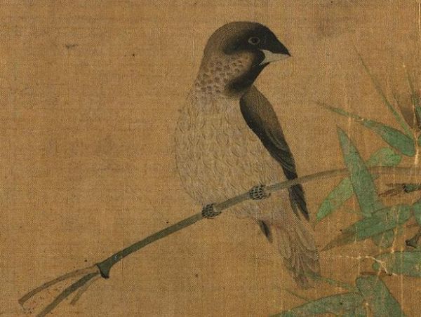 10个压箱底「宝藏网站」大推荐!实用有趣,还能帮助学习,前2个看完我赶紧收藏了!