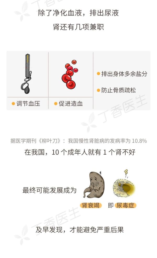 喝完水就想尿,是肾不好吗?一张图告诉你真正的危险信号