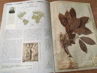 绘本《探险家的传奇植物标本簿》