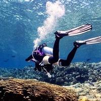 松哥潜水小百科 篇四：潜水员如何成就顶尖中性