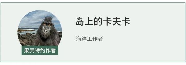 这些能在海里开花的神奇植物,你是不是也没见过?