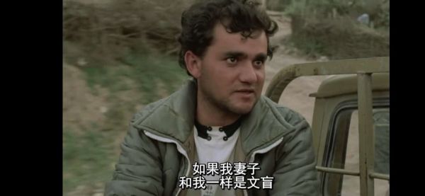 像诗一般的电影,却是教科书级别的灾难片