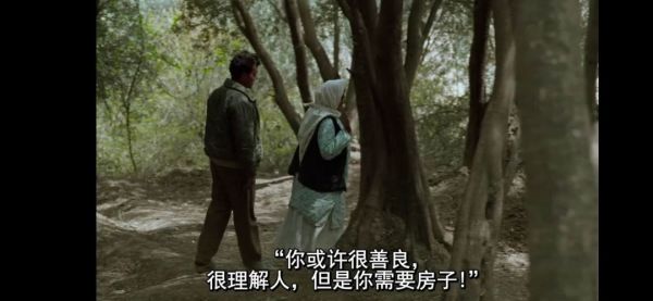 像诗一般的电影,却是教科书级别的灾难片