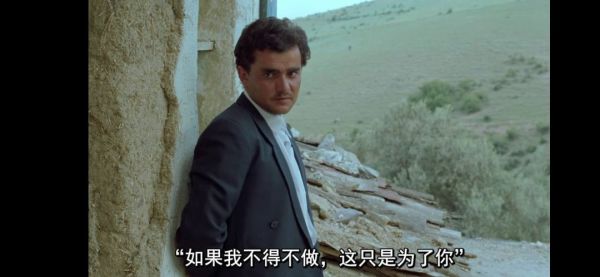 像诗一般的电影,却是教科书级别的灾难片