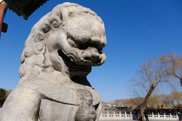 次世代无反视频旗舰降临!富士X-T4深度评测