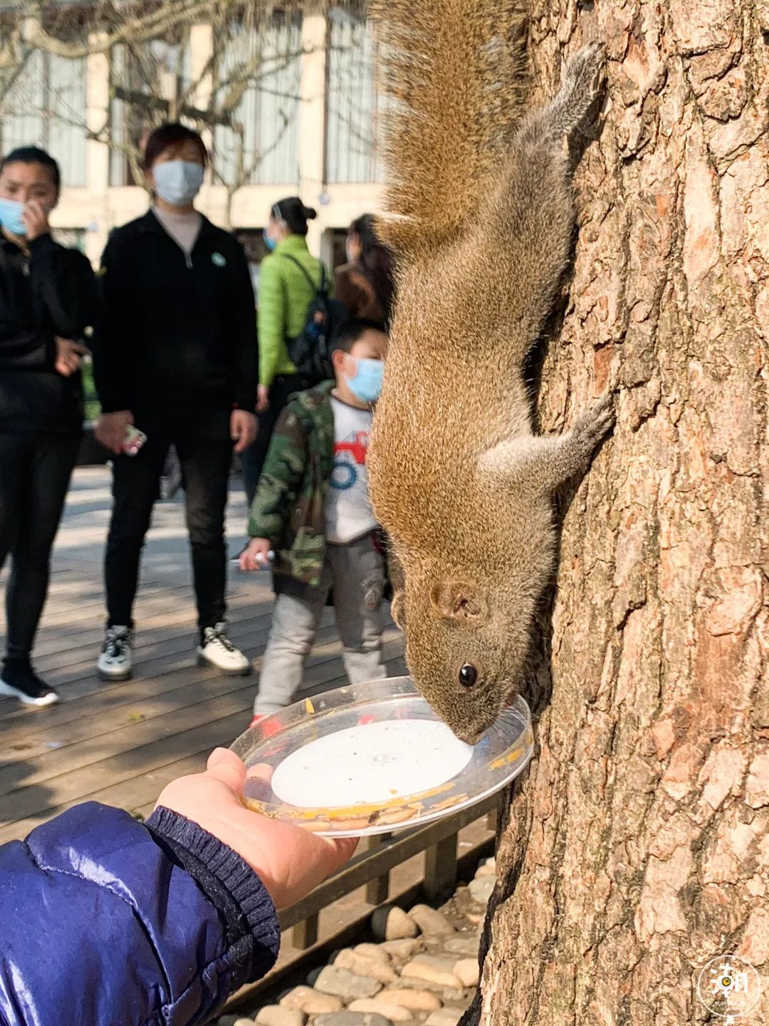 西湖，熟悉的人气又回来了！