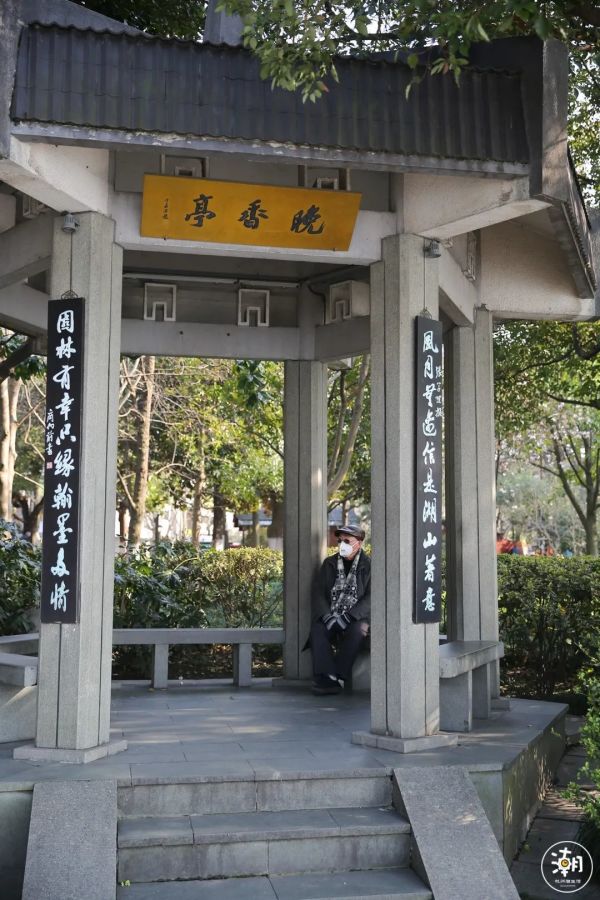 西湖,熟悉的人气又回来了!