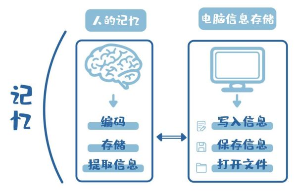 教娃累瘫?这些记忆奥秘,该早点知道
