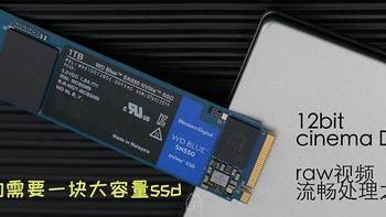 视频不归路 篇四：处理Cinema DNG raw视频，存储要跟上——WD Blue SN550 1T版上手评 