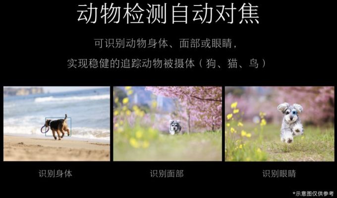 相机夜话 | 再谈EOS R5 除了满足想象之外