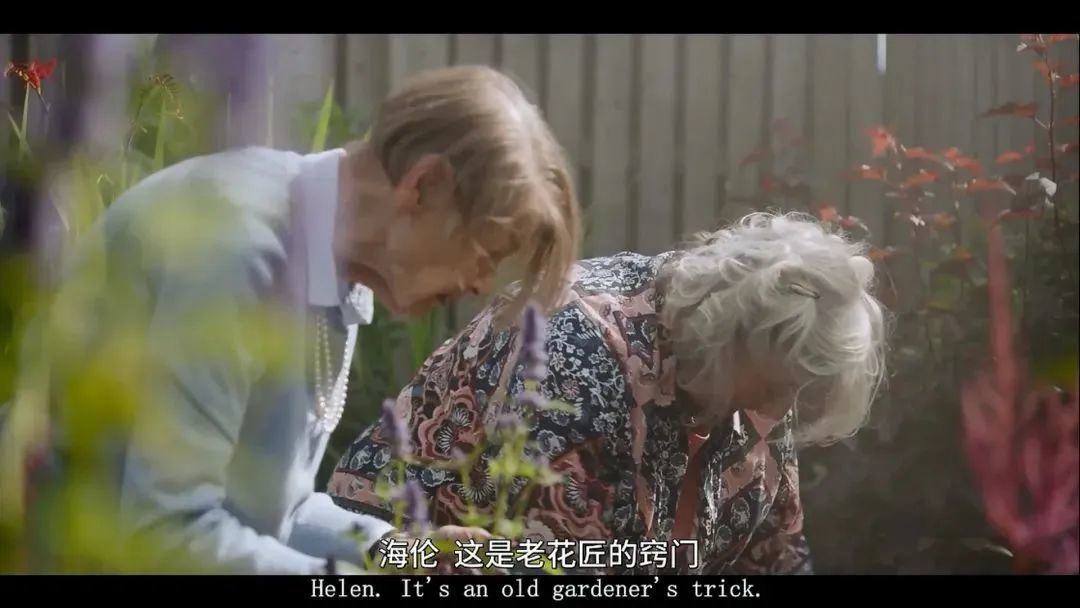 尘封70年的美女失踪案，以特殊的方式真相大白