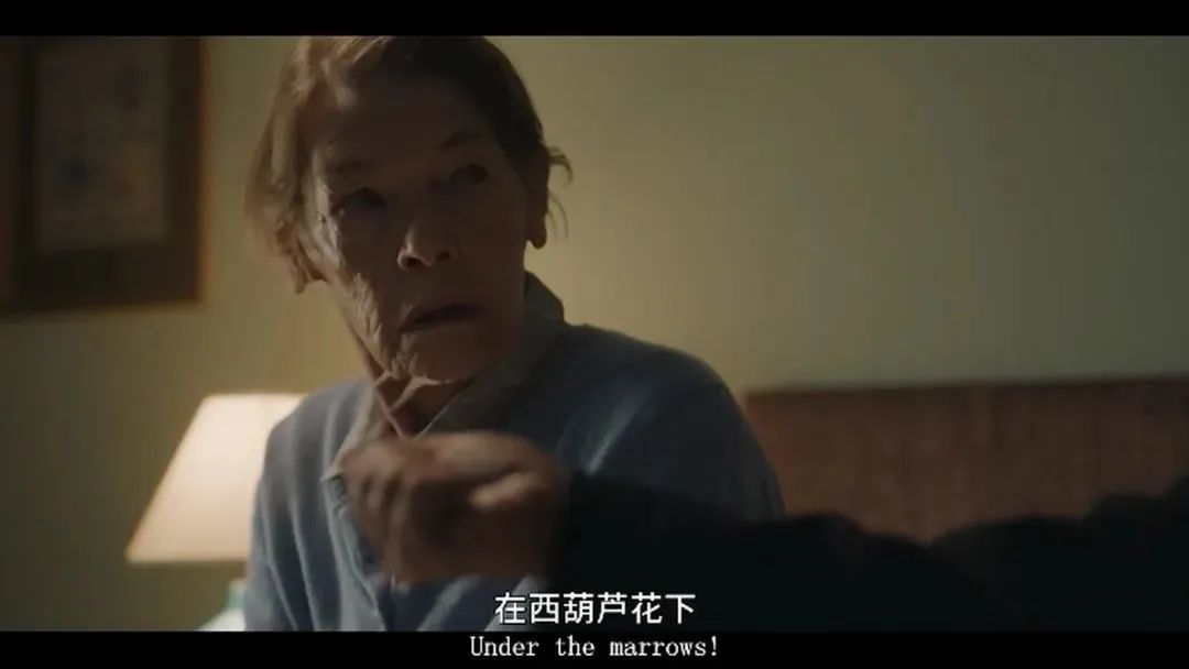 尘封70年的美女失踪案，以特殊的方式真相大白