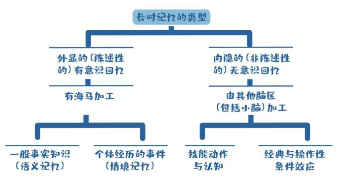 3岁之前不记事?这误会大了......