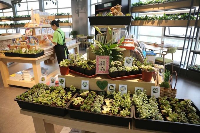 人类没有书店,世界将会怎样?