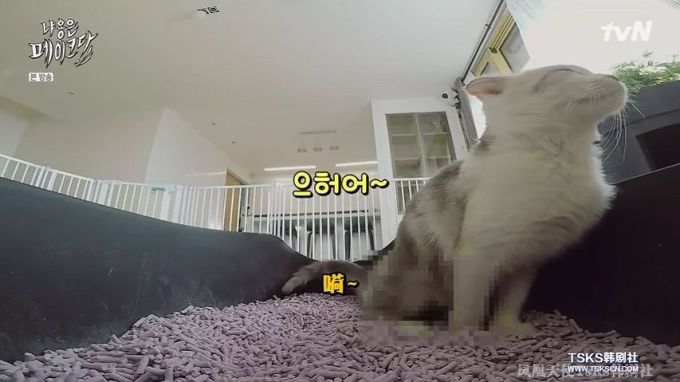 你是爱他的灵魂,还是馋他的身子?