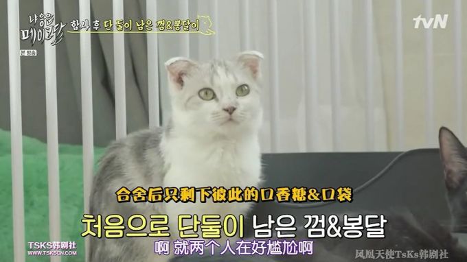 你是爱他的灵魂,还是馋他的身子?