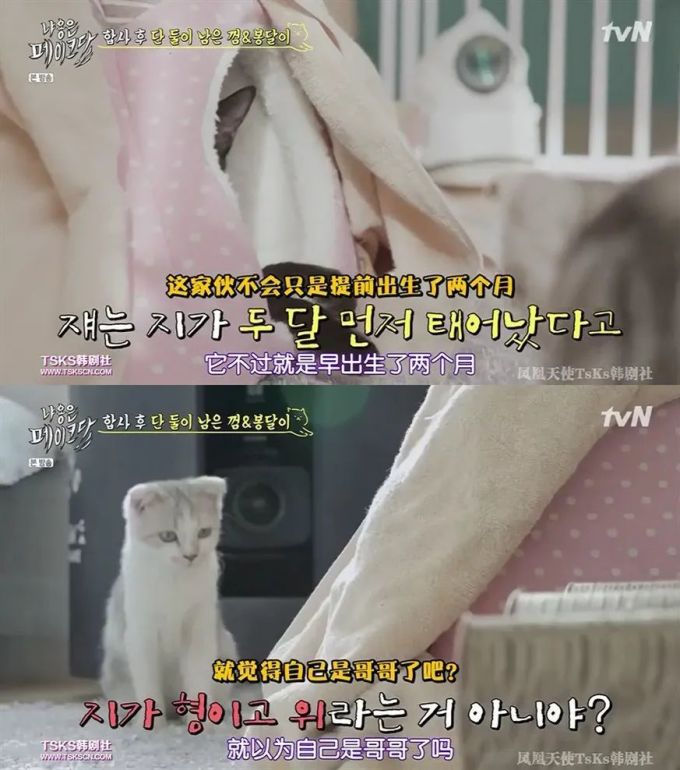 你是爱他的灵魂,还是馋他的身子?