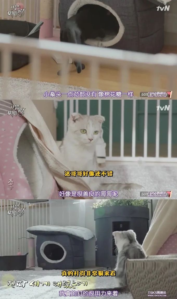 你是爱他的灵魂,还是馋他的身子?