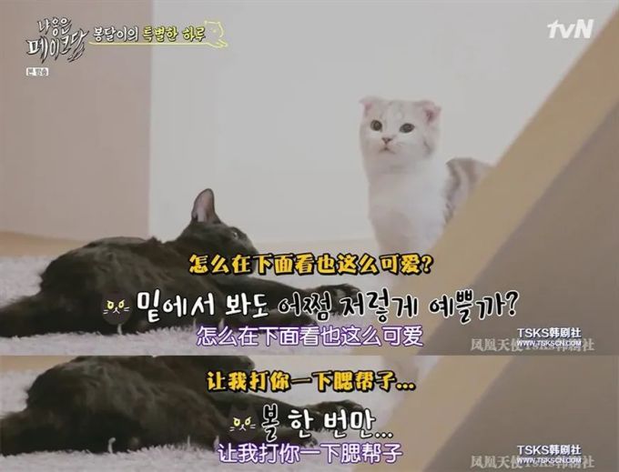 你是爱他的灵魂,还是馋他的身子?