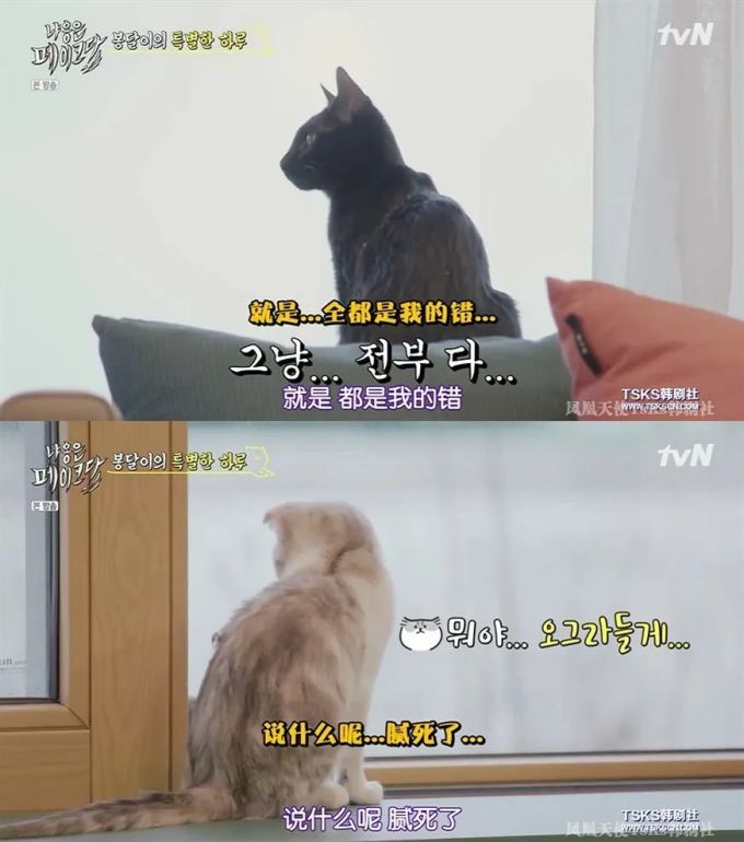 你是爱他的灵魂,还是馋他的身子?