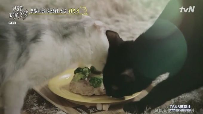 你是爱他的灵魂,还是馋他的身子?