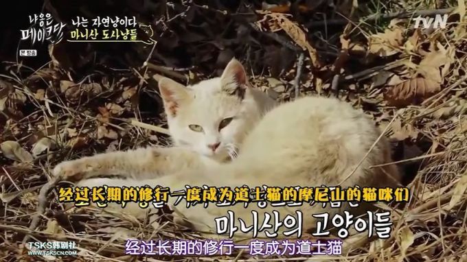 你是爱他的灵魂,还是馋他的身子?