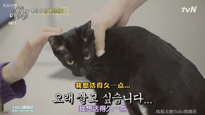 你是爱他的灵魂,还是馋他的身子?