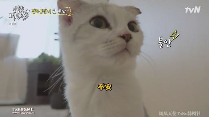你是爱他的灵魂,还是馋他的身子?