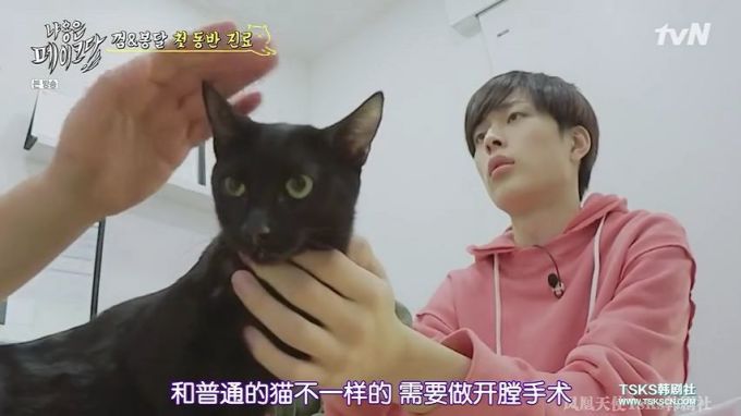 你是爱他的灵魂,还是馋他的身子?