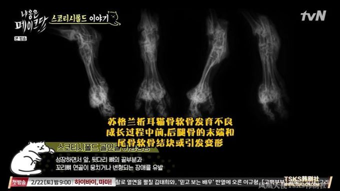 你是爱他的灵魂,还是馋他的身子?
