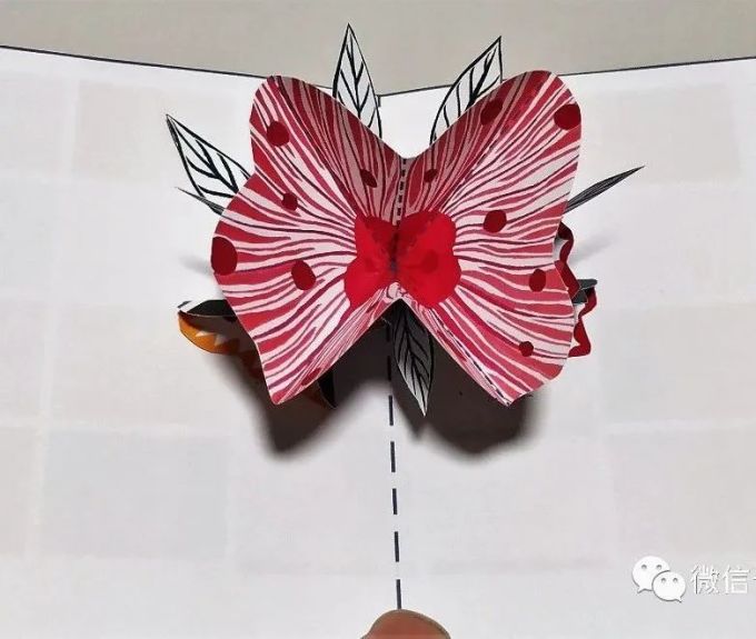 每周制作 | 花花立体卡