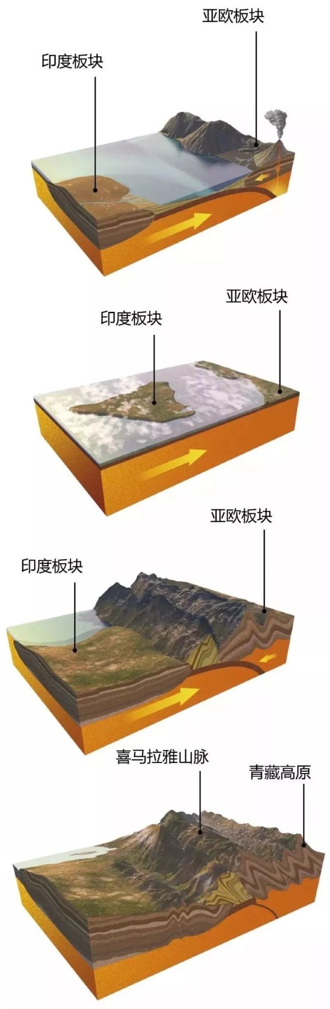 中国最美森林,凭什么在这里?