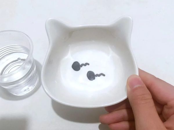 自从做了这个透亮的Q弹蛋,我成了娃心中超厉害的妈!简单易上手的小实验好玩还能涨知识!